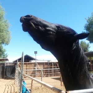 Meet your Posher, Tina